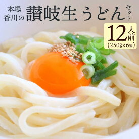 【ふるさと納税】讃岐うどん 香川 讃岐 生うどん セット 12人前 (小分け 6袋）ゆうパケット便 お試し [ うどん モチモチ コシ 人気 カレーうどん 釜玉 まとめ買い 麺類 お取り寄せ 送料無料 香川県 三豊市 返礼品 お取り寄せグルメ 食品 5000円 10000円以下 瀬戸内讃岐工房 ]