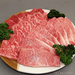 yӂ邳Ɣ[Łz I[u ē Hה׃Zbgi[X500gEJr500gE500gjv1500g [ I[uē ēp ēZbg Hה 1500g Zbg Ⓚ lߍ킹 a