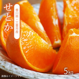 【ふるさと納税】 みかん せとか 三豊市産 約5kg 柑橘界の大トロ とろける甘さ 高級フルーツ 果汁たっぷり 濃厚ジューシー 果物 フルーツ スイーツ ギフト お取り寄せ 人気 ランキング 送料無料 香川県 三豊市 ご当地 20,000円 台 返礼品 マミィギフト