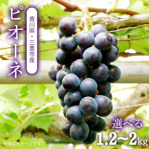 yӂ邳Ɣ[ŁzyzsnFkCEꌧEzsI[l@OLsY@Iׂ1.2kg`2kg@nEX@@nEX@ H {