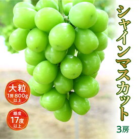 【ふるさと納税】 シャインマスカット ギフト 【先行予約】 大粒 3房【800g以上】【糖度17度以上】 旬 時期 糖度 香川 季節 種なし 贈答用 お取り寄せ 国産 新鮮 産地直送 高級 ぶどう 葡萄 ブドウ 香川県 三豊市 30000 30,000円 台 返礼品 お取り寄せ ギフト マミィギフト