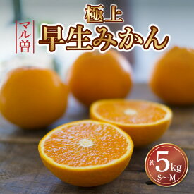 【ふるさと納税】ふるさと納税 みかん 三豊市産 極上 知る人ぞ知る！ 【マル曽 早生みかん約5kg】 S〜Mサイズ 秋 旬 香川県 三豊市 お取り寄せ ギフト おいしい ご当地 甘い おいしい 特産品 讃岐 さぬき 秋 旬 大容量 5キロ マミィギフト