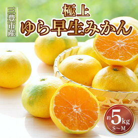 【ふるさと納税】 みかん ゆら早生みかん 約5kg 香川県 三豊市産 極上S〜Mサイズ おいしい 甘い 新みかん 秋 旬 知る人ぞ知る！ 濃厚 果物 果実 フルーツ 果汁 送料無料 お取り寄せ ギフト 柑橘類 柑橘 讃岐 さぬき マミィギフト