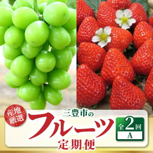 yӂ邳Ɣ[ŁzyzsnFkCEꌧEz t[c 2 ͂ VC}XJbg 嗱 1[ 800gȏ x17xȏ ʂЂ  1kg ȏ {̉ʕ 