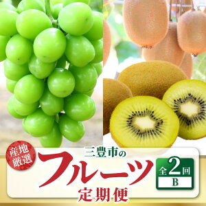 yӂ邳Ɣ[ŁzyzsnFkCEꌧEzOLs t[c 2 ͂ B VC}XJbg 嗱 1[ 800gȏ x 17xȏ Ǐni O[LECt[c 2L 1.8kg 