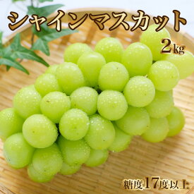 【ふるさと納税】シャインマスカット ギフト 【先行予約】 シャインマスカット2kg（3房）【700g以上】【糖度17度以上】 大粒 贈答用 ギフト お取り寄せ 国産 旬 新鮮 産地直送 高級 ぶどう 葡萄 ブドウ 皮ごと 種なし 香川県 三豊市 30000 30,000円 台 納税 マミィギフト