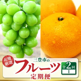 【ふるさと納税】 フルーツ 定期 2回お届け フルーツ定期便 F [ シャインマスカット 1房 宮川早生みかん S〜Lサイズ 5kg みかん ミカン 蜜柑 濃厚 オリジナルみかん 季節 香川県 三豊市 お取り寄せグルメ お取り寄せ 送料無料 20000 20,000円 台 マミィギフトカガワ ]