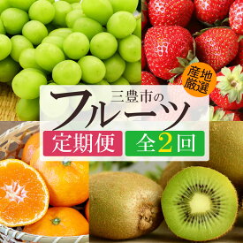 【ふるさと納税】 フルーツ定期便 2回 季節限定 定期便 シャインマスカット＆セレクトフルーツ便 [ フルーツ 定期 マスカット 柑橘 キウイ 果物 果実 デザート スイーツ 人気 ランキング ギフト 送料無料 香川県 三豊市 ご当地 讃岐 20,000円 台 返礼品 人気 マミィギフト ]