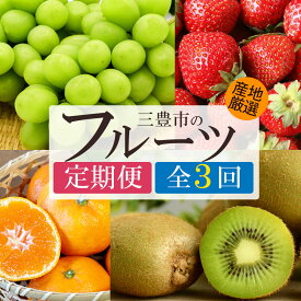 【ふるさと納税】 フルーツ 定期便 3回 シャインマスカットと さぬき姫・旬のフルーツ便 [ マスカット 柑橘 果物 果実 デザート スイーツ 人気 ランキング おいしい ギフト 送料無料 香川県 三豊市 ご当地 讃岐 さぬき 30,000円 台 返礼品 人気 マミィギフト ]