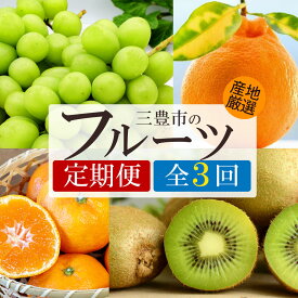 【ふるさと納税】 フルーツ 定期便 3回 シャインマスカットと グリーンキウイ・旬のフルーツ便 [ マスカット 柑橘 果物 果実 デザート スイーツ 送料無料 人気 ランキング ギフト おいしい 香川県 三豊市 ご当地 讃岐 さぬき 30000円 30,000円 台 返礼品 人気 マミィギフト ]