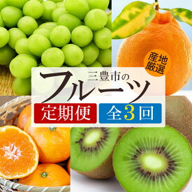 【ふるさと納税】 フルーツ定期便 3回 シャインマスカット と デコポン・旬のフルーツ便 [ フルーツ 定期便 マスカット ぶどう 葡萄 柑橘 果物 果実 デザート スイーツ 旬 送料無料 30000 30,000円 台 香川県 三豊市 返礼品 人気 マミィギフト ]