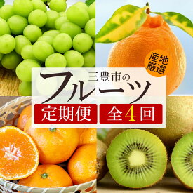 【ふるさと納税】定期便 フルーツ ギフトショップ厳選フルーツ定期便全4回 [ くだもの シャインマスカット デコポン みかん 柿 富有柿 柑橘 果物 果実高級 ギフト 贈答品 詰め合わせ セット 送料無料 人気 おすすめ 三豊市 40000 40,000円 台 マミィギフト ]