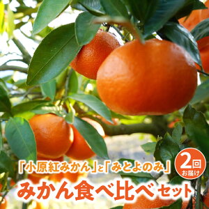 yӂ邳Ɣ[Łz݂  2 5kg×2 g݂ ݂Ƃ̂ Hה Zbg [ ƒp k t[c ʕ Yn p { Â W[V[ e 񂹃O  30000