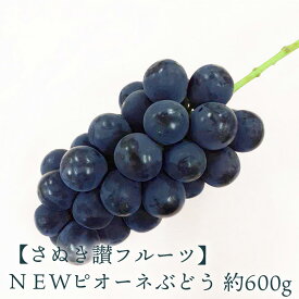 【ふるさと納税】NEWピオーネぶどう 約600g さぬき讃フルーツ 甘さとジューシーさが詰まった最高級ピオーネ！ 大粒で食べごたえ抜群！ピオーネぶどう 風味豊かで甘い、完熟ピオーネ 新鮮さが自慢のさぬき讃フルーツのピオーネ 秋 旬