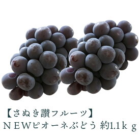 【ふるさと納税】 締め切り間近 NEWピオーネぶどう 約1.1kg さぬき讃フルーツ 甘さとジューシーさが詰まった最高級ピオーネ！ 大粒で食べごたえ抜群！ピオーネぶどう 風味豊かで甘い、完熟ピオーネ 新鮮さが自慢のさぬき讃フルーツのピオーネ 秋 旬