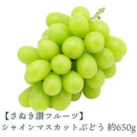 【ふるさと納税】シャインマスカット 約650g 先行予約 [ さぬき讃フルーツ 認定 高級 ぶどう 大粒 種なし 皮ごと 甘い プレミアム フルーツ 果物 贈答用 ギフト 人気 おすすめ 国産 産地直送 新鮮 香川県 三豊市 送料無料 返礼品 造田商店 ]