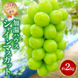 【ふるさと納税】 シャインマスカット 約2kg 【さぬき讃フルーツ認定】 加温ハウス [ 大粒 高級 ぶどう 葡萄 ブドウ 種なし 皮ごと フルーツ 果物 贈答用 ギフト 人気 おすすめ 詰合せ お取り寄せ 国産 旬 新鮮 産地直送 香川県 三豊市 30000 30000円 台 返礼品 造田商店 ］