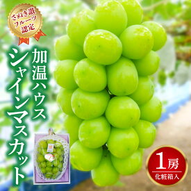 【ふるさと納税】 シャインマスカット 1房 【さぬき讃フルーツ認定】 加温ハウス 化粧箱入り [ 大粒 高級 ぶどう 葡萄 ブドウ 種なし 皮ごと フルーツ 果物 贈答用 ギフト 人気 お取り寄せ 国産 旬 新鮮 産地直送 香川県 三豊市 20000 20,000円 台 返礼品 造田商店 ］