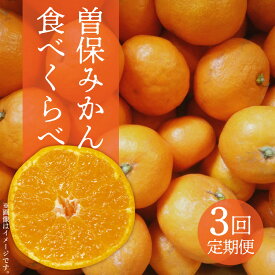 【ふるさと納税】【配送不可地域：北海道・沖縄県・離島】曽保みかん食べくらべ（3回定期便） みかん 3kg 5kg 13kg お取り寄せ 国産 旬 新鮮 産地直送 高級 詰め合わせ 詰合せ フルーツ 定期便 果物 果物定期便 定期 ふるさと納税 フルーツ定期便 果物 秋 旬
