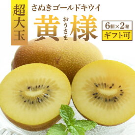 【ふるさと納税】 キウイ キウイフルーツ さぬきゴールドキウイ「黄様」超大玉6個入り×2箱 【数量限定】 [ 高糖度 大玉 フルーツ 果物 黄肉 甘い 人気 おすすめ 美味しい 贈答用 ギフト お取り寄せ グルメ 国産 送料無料 香川県 三豊市 返礼品 造田商店 ]