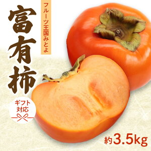 yӂ邳Ɣ[Łz ` xL` 3.5kg t[c݂ƂY [ t[c ʕ Â W[V[ VN { H  lC  ƒp p Mtg   쌧 OLs