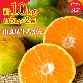 【ふるさと納税】 由良早生みかん 約10kg (5kg×2箱) 香川県三豊市産 [ 高糖度 ジューシー 小玉 大玉 選りすぐり 旬の柑橘 甘いフルーツ 果物 お取り寄せ 新鮮 産地直送 家庭用 贈答用 ギフト お歳暮 お中元 人気 送料無料 数量限定 冬限定 返礼品 造田商店 ]