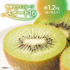 【ふるさと納税】 キウイ 香緑キウイ 期間限定 約 1.2kg 認定品 最上級品 スイート16 キウイフルーツ 1箱 三豊市 お取り寄せフルーツ 食品 食べ物 果物 フルーツ デザート おやつ 朝食 国産 香川産 送料無料10000円 10,000円 台 ご当地 返礼品 お取り寄せ ギフト 造田商店