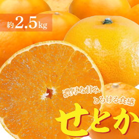 【ふるさと納税】 フルーツ みかん「せとか」 約2.5kg 1箱 9〜14玉 先行予約 濃厚ジューシーな甘み とろける食感の高級柑橘 [ 果物 柑橘 旬 新鮮 直送 産地直送 予約販売 人気 ギフト お歳暮 贈答用 家庭用 10,000円 台 送料無料 香川県 三豊市 返礼品 造田商店 ]