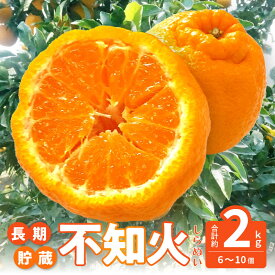 【ふるさと納税】【先行予約】 みかん 不知火 約2kg 数量限定 [ しらぬい 高糖度ジューシー柑橘 フルーツ 果物 デコポン 長期貯蔵 高品質 厳選 人気 逸品 香川県 三豊市 特産品 国産 甘い 贈答用 ギフト 家庭用 送料無料 返礼品 10000 10,000円 台 造田商店 ]
