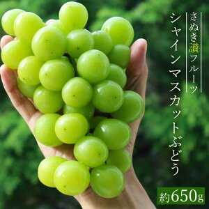 yӂ邳Ɣ[ŁzVC}XJbg 650g s\ [ ʂ]t[c F  Ԃǂ 嗱 Ȃ 炲 Â v~A t[c ʕ p Mtg lC  Y Yn 