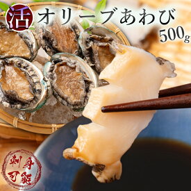 【ふるさと納税】 あわび オリーブ オリーブアワビ約500g（5個入り前後） [ 殻付き 鮑 海鮮グルメ 高級 特産品 おすすめ お取り寄せ 海鮮 酒蒸し バター焼き ソテー 鉄板焼き アワビ 瀬戸内海 瀬戸内 10,000円 台 送料無料 返礼品 香川県 三豊市 瀬戸水産 ]