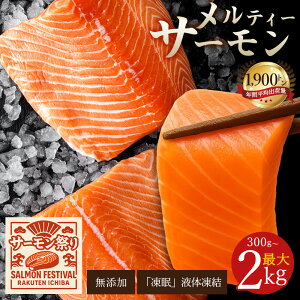 yӂ邳Ɣ[Łz T[ eB[T[ 300g`ő2kg ɓoI Y AgeBbNT[ [    TP CN T[ HT[ lC LO  O