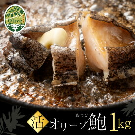 【ふるさと納税】 あわび オリーブ オリーブアワビ約1kg（10～12個程度） [ 殻付き 鮑 海鮮グルメ 高級 特産品 おすすめ お取り寄せ 海鮮 酒蒸し バター焼き ソテー 鉄板焼き アワビ 瀬戸内海 瀬戸内 20,000円 台 送料無料 返礼品 香川県 三豊市 瀬戸水産 ]
