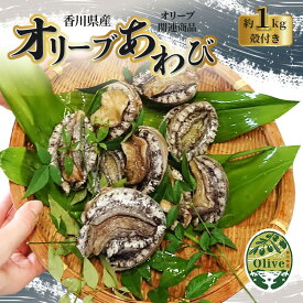 【ふるさと納税】オリーブあわび 約1kg 10～12個程度 殻付き 鮑 特産品 送料無料 食品 おすすめ お取り寄せ お取り寄せグルメ 海鮮 魚介 ステーキ 酒蒸し バター焼き ソテー 鉄板焼き BBQ キャンプ グランピング