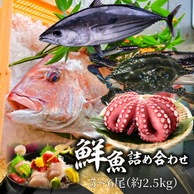 【ふるさと納税】【配送不可地域：北海道・東北・沖縄県・離島】鮮魚詰め合わせ 5〜6尾（約2.5kg） 株式会社瀬戸水産