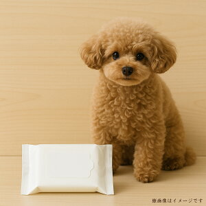 yӂ邳Ɣ[Łz ybgpEFbgeBbV tt ybgp99gpEFbgeBbV v36pbN [ 99 _ ێz mAR[ pxt[ sgp 