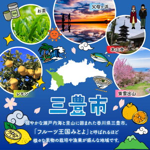yӂ邳Ɣ[Łz t[c  2 VC}XJbgZNgt[c [ }XJbg k ʕ ʎ fU[g XC[c  20,000~  ԗi lC }~BMtg ]yzs