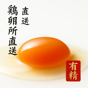 yӂ邳Ɣ[Łz Y VN܂ ǂNƂ߂ǂ肳̑蕨 v72 (6×12P) [ ܂  ʎq VN  H lC  H  ԗi 10000~  OLs 쌧 Mtg 