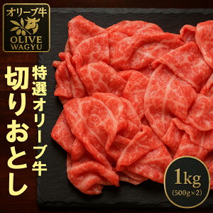yӂ邳Ɣ[ŁzI[u ؂藎Ƃ 500g×2 d1kg [ ] Ă Ԃ ē LO uh    Y ꉟ   ؂藎Ƃ OLs 30000 30,