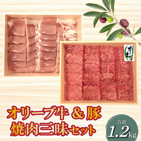 【ふるさと納税】オリーブ牛 ＆豚焼肉三昧セット 牛モモ肉 豚ロース 食べ比べ BBQ 冷凍 肉 焼肉 牛肉 豚肉 モモ肉 ロース オリーブ牛 和牛 冷凍 すき焼き 牛すき 人気 セット 人気 ランキング お得なセット セット 讃岐 香川県 三豊市 ご当地 30,000円 台 返礼品 ササハラ
