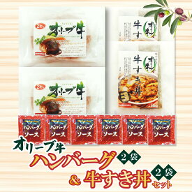 【ふるさと納税】 オリーブ牛 ハンバーグ2袋・牛すき丼2袋セット ソース付き [ 合い挽き 個包装 肉汁 たっぷり 大容量 黒毛和牛 ブランド牛 国産 冷凍 ハンバーグ 牛丼 牛すき お取り寄せ ギフト 30,000円 台 送料無料 香川県 三豊市 ご当地 返礼品 ササハラ ]