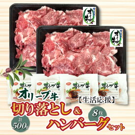 【ふるさと納税】生活応援 オリーブ牛 切り落とし 500g ＆ ハンバーグ 8枚セット 讃岐牛 赤身 セット