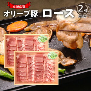 yӂ邳Ɣ[Łz I[u؁@[Xēp2kg  ē I[u Ă Zbg o[xL[ BBQ 쌧 OLs