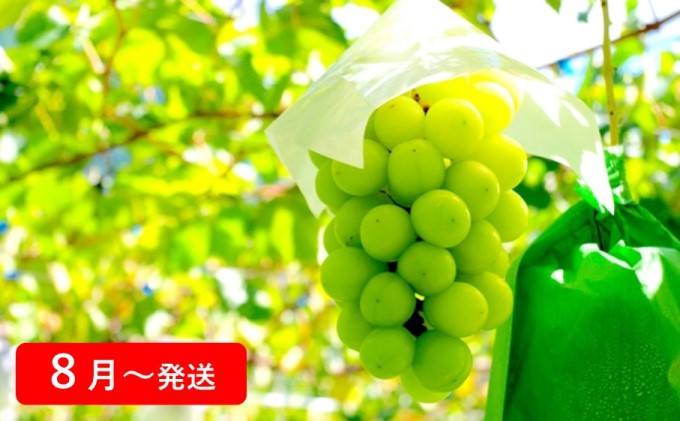 土庄町 季節の果物 お届け：2020年12月～ ☆大人気商品☆