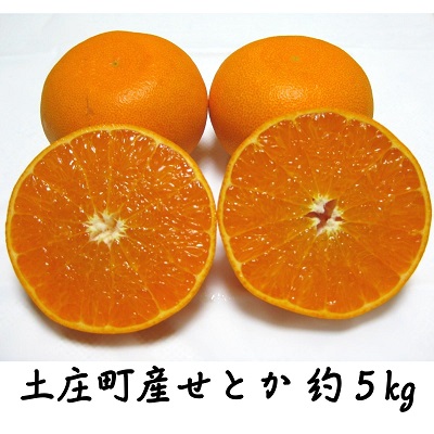 香川県土庄町 春の新作シューズ満載 セール価格 ふるさと納税 小豆島 せとか 約5kg 果物類 みかん フルーツ 柑橘類 お届け：2022年2月上旬～2月下旬