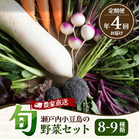 【ふるさと納税】瀬戸内小豆島の旬野菜セット 農家直送 年4回お届け　【定期便・野菜・セット・詰合せ・頒布会】　お届け：1月・4月・7月・10月