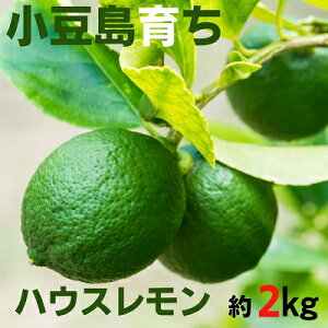 yӂ邳Ɣ[Łzy  znEX 2kg ʕ t[c k EG @͂F2025N9{`11{