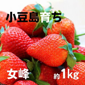 yӂ邳Ɣ[Łzy  ẑij4pbN ʕ  C`S @͂F2026N1{`2026N2{