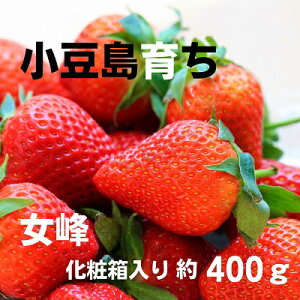 yӂ邳Ɣ[Łzy  ẑij400g ϔ ʕ  C`S @͂F2026N2{`2026N4{