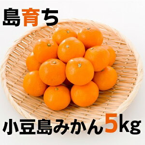 yӂ邳Ɣ[Łzy  z ݂ 5kg@ ʕ k t[c ~J  @͂F2025N11{`12{